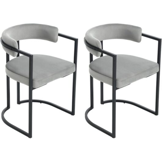 Dining Chairs Set of 2 Upholstery Leisure Kitchen Chairs, Modern Corner Chairs for Dining Room, Velvet, Gray