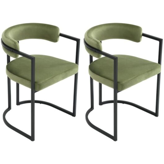 Dining Chairs Set of 2 Upholstery Leisure Kitchen Chairs, Modern Corner Chairs for Dining Room, Velvet, Green