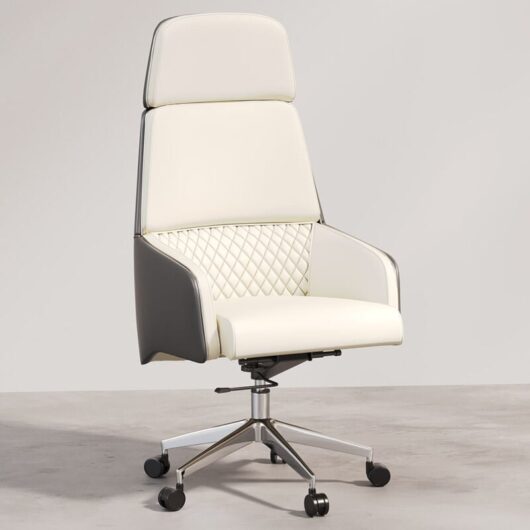 Ergonomic Office Chair with Wheels and Armrests - Series