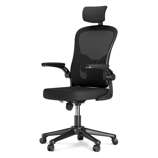 Naspaluro - Office Chair with Back Support, Bigzzia High Back Ergonomic Computer Chair with 90° Flip-Up Armrest, Adjustable Headrest, Swivel Mesh