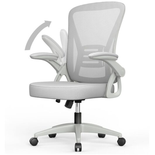 Office Chair Ergonomic - Bigzzia Desk Chair with 90° Flip-up Armrest Lumbar Support - Executive Swivel Computer Chair - Gray