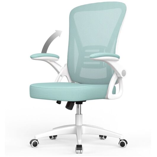Office Chair Ergonomic - Bigzzia Desk Chair with 90° Flip-up Armrest Lumbar Support - Executive Swivel Computer Chair - Green