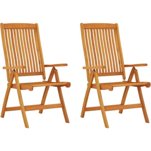 Folding Garden Chairs 2 pcs Solid Wood Eucalyptus Vidaxl