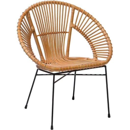 Modern Rattan Accent Dining Chair Beige Wicker Living Room Metal Frame Sarita