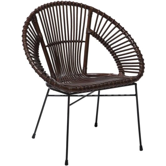 Modern Rattan Accent Dining Chair Brown Wicker Living Room Metal Frame Sarita