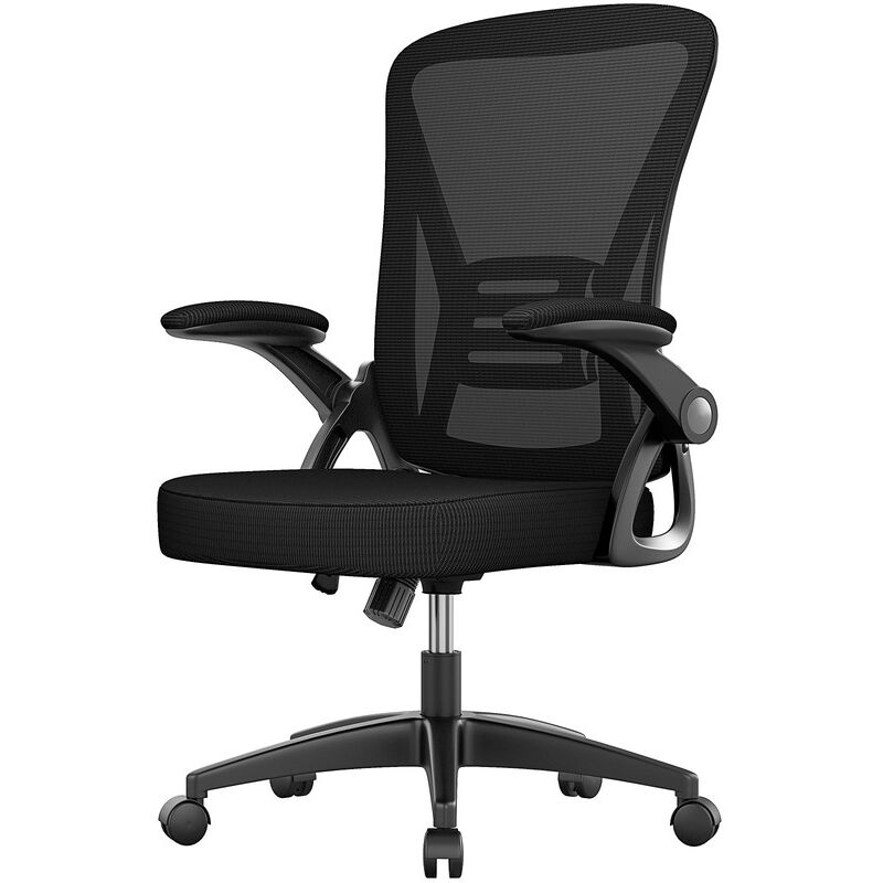 Ergonomic Desk chair with Lumbar Support, adjustable armrest, Office Chair Height Adjustable, black Bigzzia