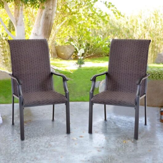 Garden Chairs Set of 2 Outdoor Rattan Chairs Patio Chair Metal Powder Coating Garden Furniture - Phivilla