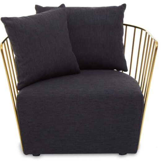 Interiors by Premier Black Fabric Chair, Gold Finish Steel Frame Accent Chair, Lounge Chair with 2 Cushions, Armchair for Home