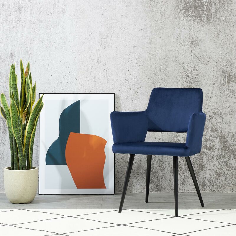 2x Kami Blue Velvet Dining Chairs with Black Legs Padded Seat Tub Chair Armchair