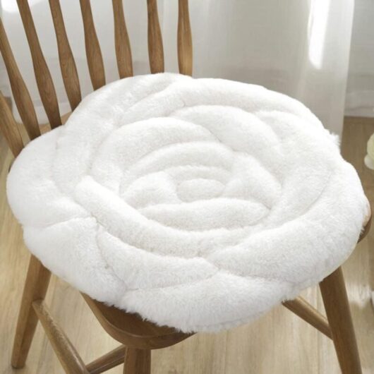 CCYKXA Astarama Soft Plush Round Chair Cushion for Home, Office, Car (White)