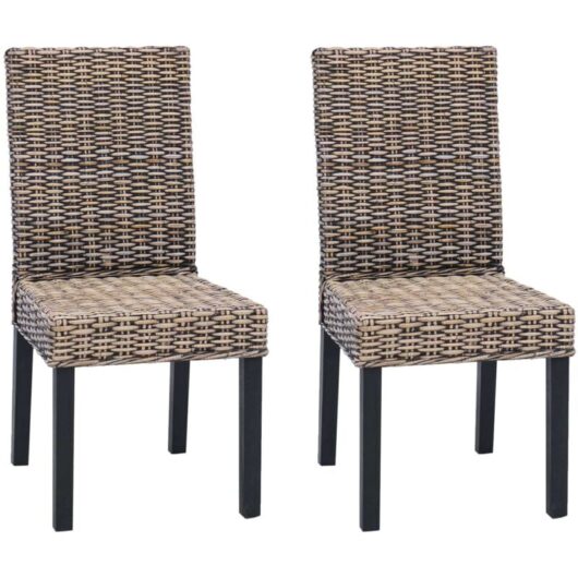 Dining Chair 2 pcs Black Wash 45 x 54 x 93 cm vidaXL