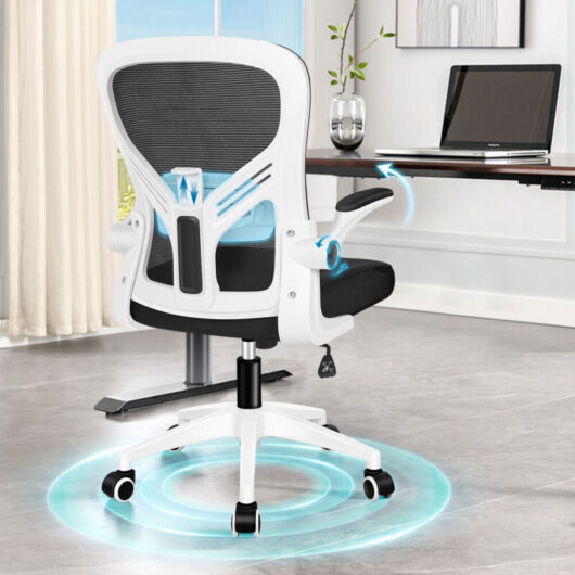 Elfordson - Ergonomic Office Chair, Adjustable Lumbar Support, Mid-back, Swivel, Mesh, Flip-up Armrests,Tilt Function, Black & White