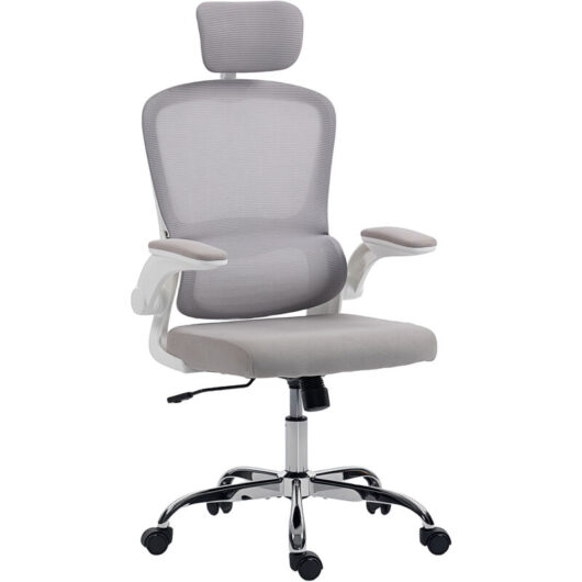 HOMCOM High Back Mesh Computer Desk Chair with Lumbar Support, Grey