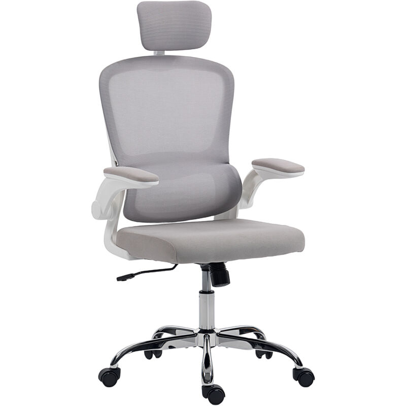 HOMCOM High Back Mesh Computer Desk Chair with Lumbar Support, Grey