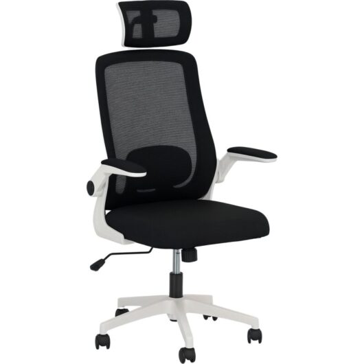 Homcom - Executive Mesh Office Chair with Headrest, Lumbar Support, Black