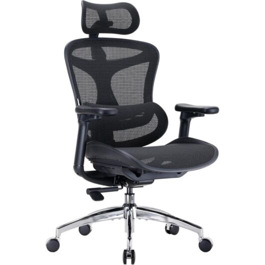 SIHOO Doro C300 Ergonomic Office Chair with Ultra Soft 3D Armrests, Dynamic Lumbar Support for Home Office, Adjustable Backrest Desk Chair (Black)