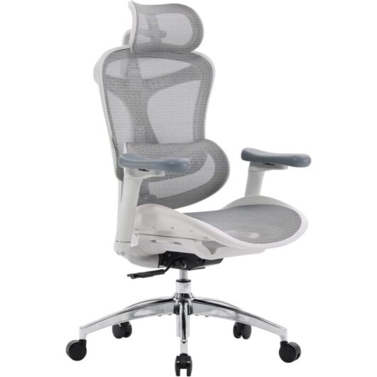SIHOO Doro C300 Ergonomic Office Chair with Ultra Soft 3D Armrests, Dynamic Lumbar Support for Home Office Chair, Adjustable Backrest Desk Chair