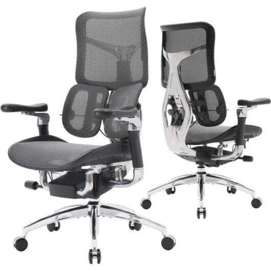 SIHOO Doro S300 Ergonomic Office Chair, Computer Chair, Dual Dynamic Lumbar Support, 6D Coordinated Armrests, Adjustable Desk Computer Gaming Rolling