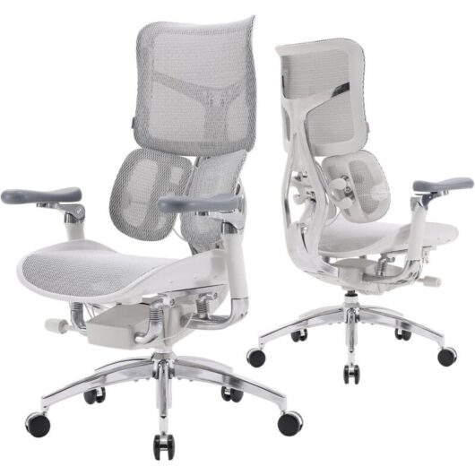 SIHOO Doro S300 Ergonomic Office Chair, Dual Dynamic Lumbar Support, 6D Coordinated Armrests, Adjustable Rolling Desk Computer Gaming Chair (White