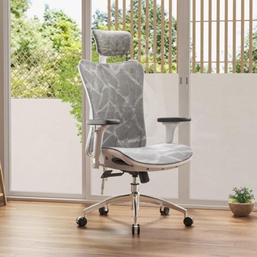 SIHOO Ergonomic Office Chair Mesh Desk Chair with Adjustable Lumbar Support 3D Armrests Breathable High Back Computer Chair (Light Gray)