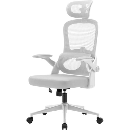 SIHOO M102C Ergonomic Mesh Office Chair, High Back desk chair with 3D Armrests, Up&Down Lumbar Support, Swivel Computer Task Chair, White Frame and