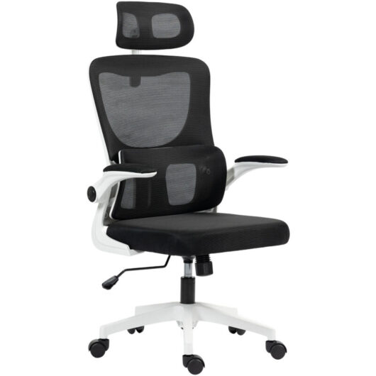 Vinsetto Mesh Office Chair with Adjustable Headrest, Lumbar Support, Black