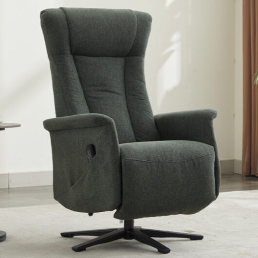 Amarillo Fabric Dual Motor Electric Recliner Chair - Winter Moss