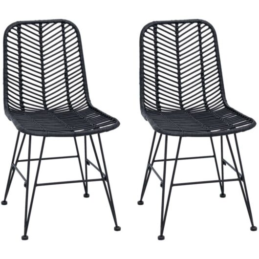 Dining Chair 2 pcs Black 44 x 47 x 85 cm Rattan and Iron vidaXL