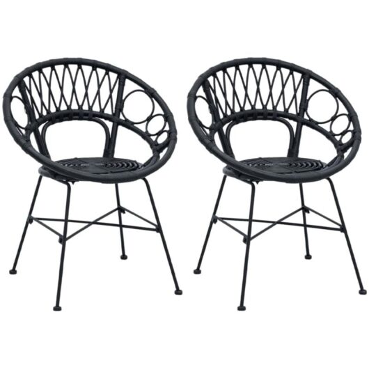 Dining Chair 2 pcs Black 49 x 51 x 81 cm Rattan and Iron vidaXL
