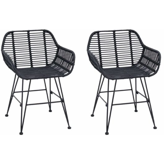 Dining Chair 2 pcs Black 55 x 50 x 74 cm Rattan and Iron vidaXL