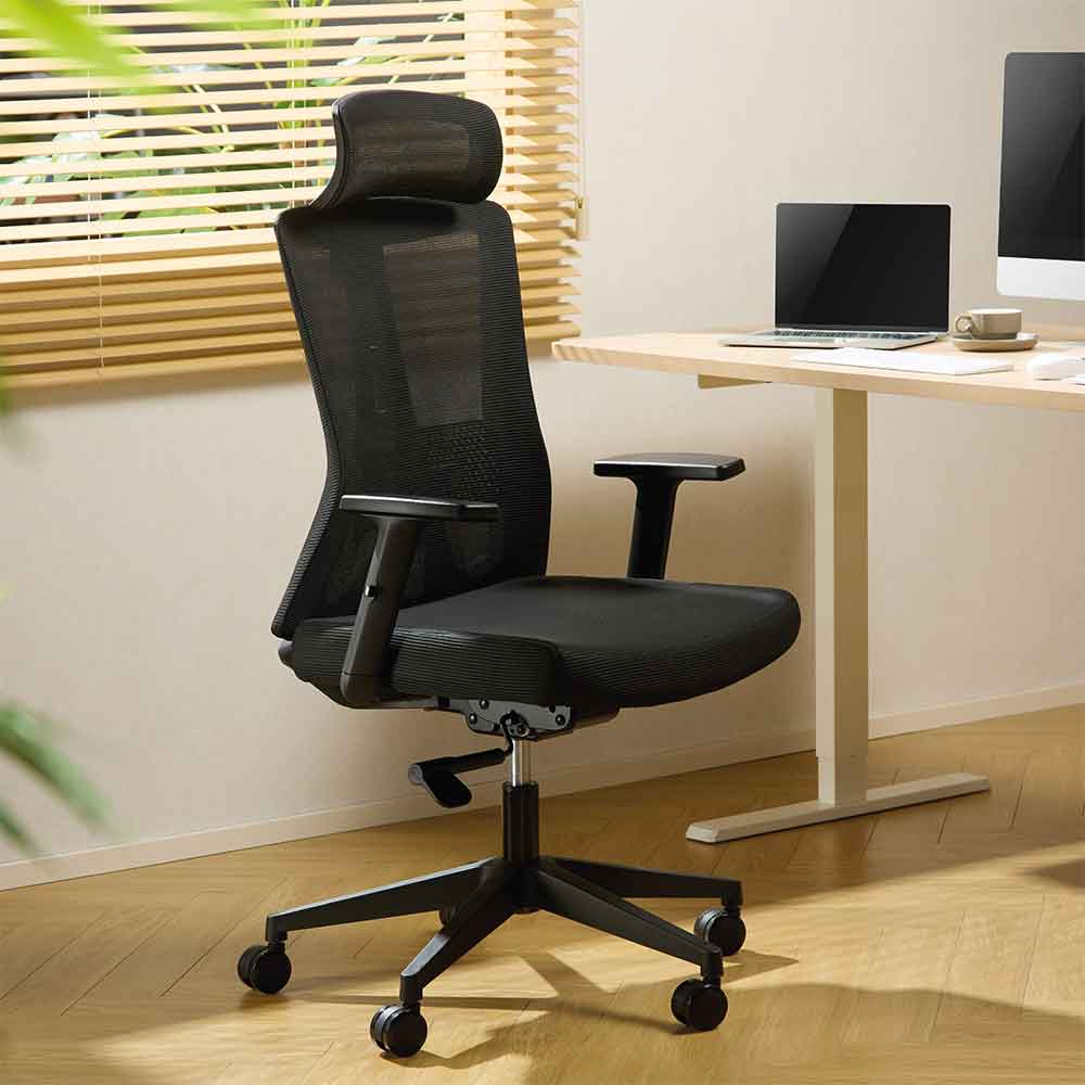 Odenton Fabric Plus Home And Office Chair - Black
