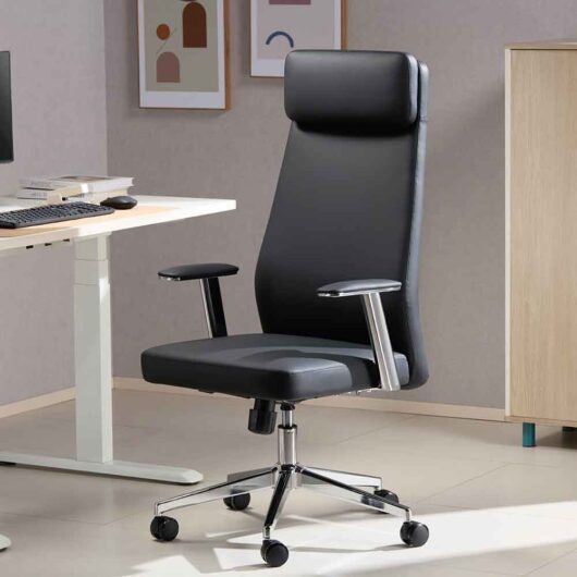 Odenton Faux Leather High-backed Executive Home And Office Chair - Black