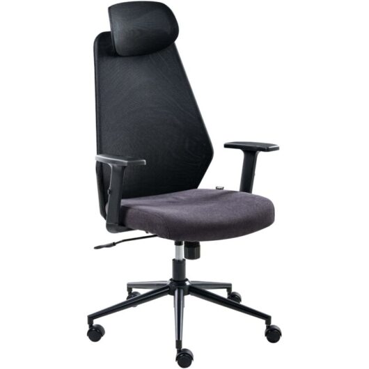 Office Chair Black Mesh Upholstery Adjustable Armrests and Headrest Seat Height Adjustment Swivel Base Tilting Backrest ORYN