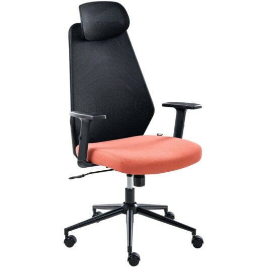 Office Chair Black and Red Mesh Upholstery Adjustable Armrests and Headrest Seat Height Adjustment Swivel Base Tilting Backrest ORYN