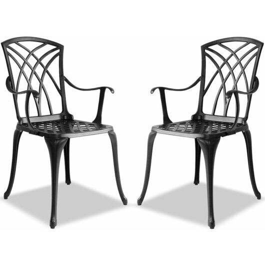 Homeology OSHOWA 2-Large Garden & Patio Chairs with Armrests in Cast Aluminium Black