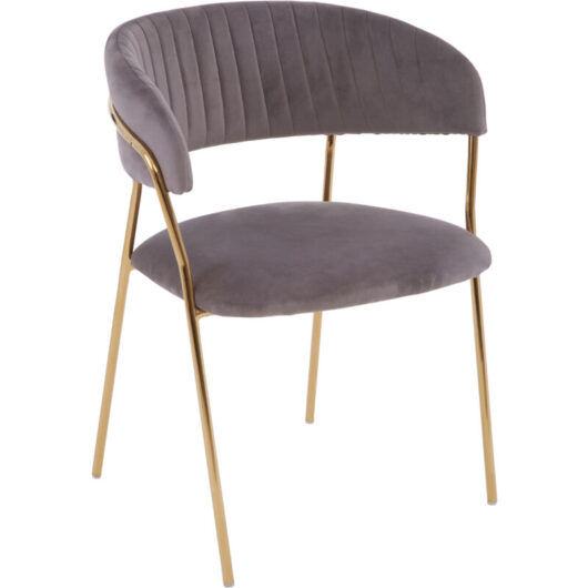 Interiors by Premier Soft Mink Velvet Dining Chair, Modern Dining Armchair, Mink and Gold Luxury Dining Chair for Home, Lounge