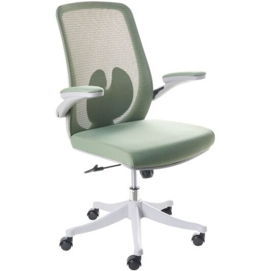 Office Chair Green Mesh Swivel Base Adjustable Height Lift-Up Armrests Home Office Modern OVERLORD