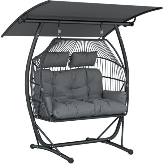 Outsunny Double Hanging Egg Chair with Canopy, Egg Swing Chair, Dark Grey