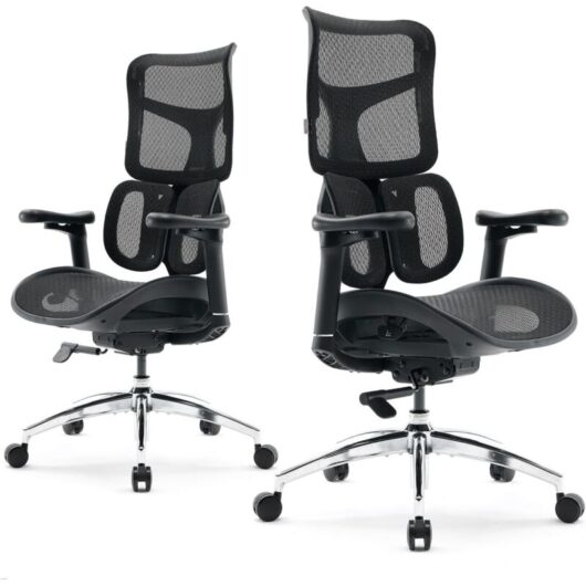 SIHOO Doro S100 Ergonomic Office Chair - with Dual Dynamic Lumbar Support, 5-Level Adjustable Backrest, 4D Coordinated Armrests, 135-degree Max.