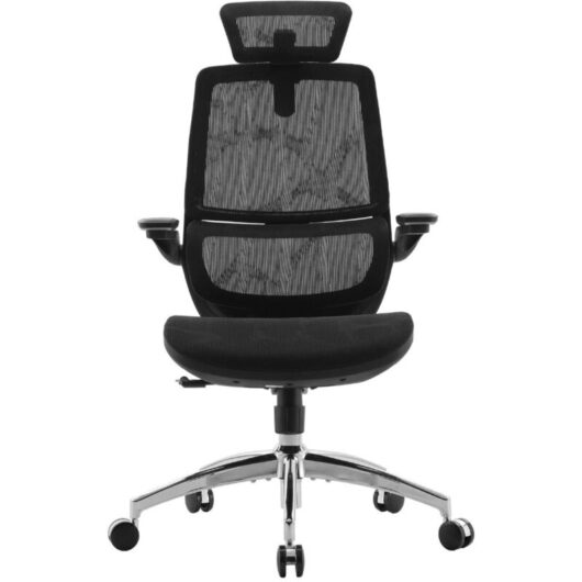 SIHOO M59AS Ergonomic Office Chair, Desk Chair with 3D Coordinated Flip-up Armrests, Computer Chair with Dual Back Design and Adaptive Dynamic Lumbar