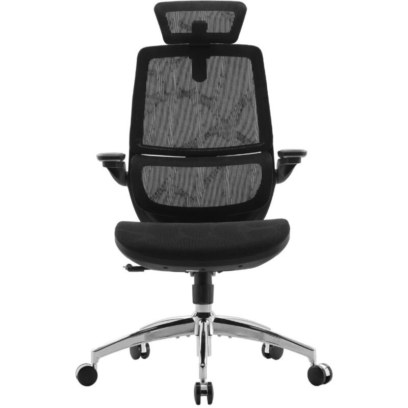 SIHOO M59AS Ergonomic Office Chair, Desk Chair with 3D Coordinated Flip-up Armrests, Computer Chair with Dual Back Design and Adaptive Dynamic Lumbar