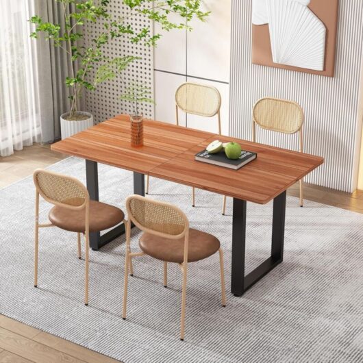 Set of 4 dining chairs, kitchen chairs, modern and simple lounge chairs with four metal support legs, rattan lounge chairs, living room and bedroom
