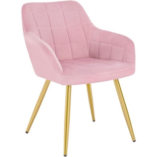 WOLTU Kitchen dining chairs Arms Backrest Living Room chairs Bedroom Velvet chairs Pink