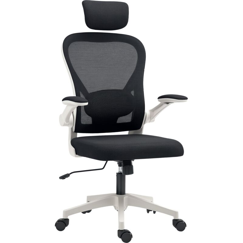 Homcom - Ergonomic Mesh Office Chair with Headrest, Lumbar Support, Black