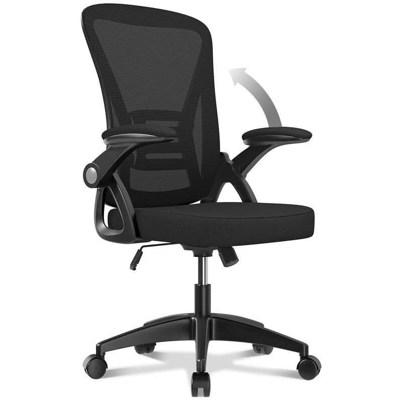 Naspaluro - Office Chair Ergonomic Bigzzia Desk Chair with 90° Flip-up Armrest Lumbar Support, Height Adjustable Office Desk Chair, Executive Swivel