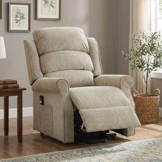 Rosenberg Fabric Single Motor Lift Tilt Recliner Chair in Rabbit