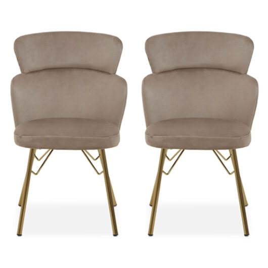 Vinita Upholstered Mink Velvet Bedroom Chairs In A Pair